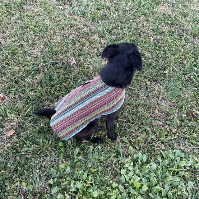 Dog Poncho - Bohemian Multicolor