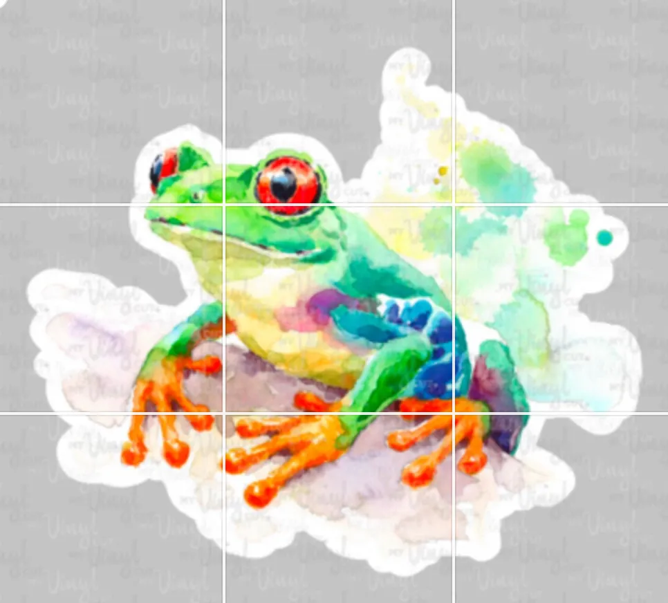 HTV Transfer Watercolor Frog