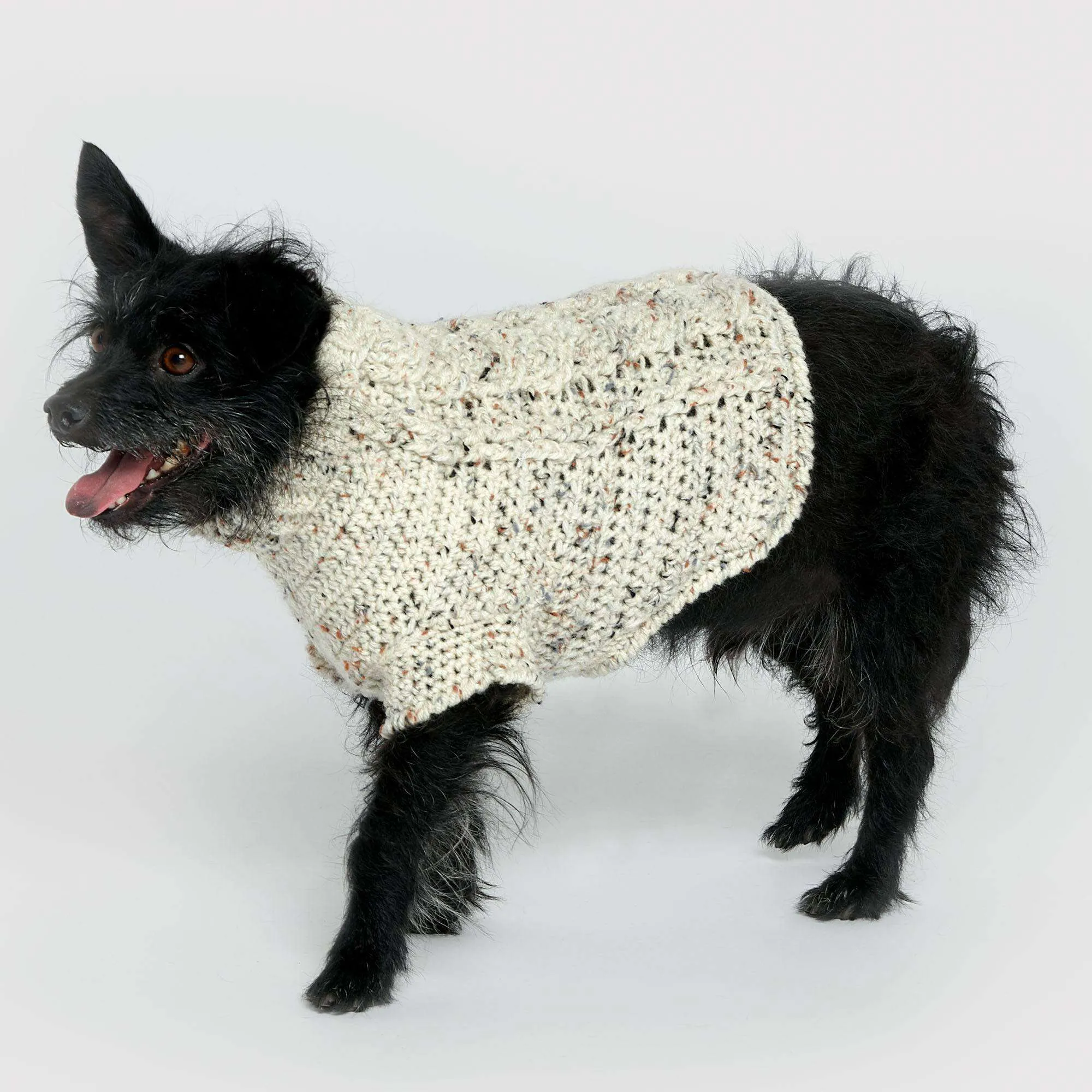 Red Heart Crochet Cables Dog Coat