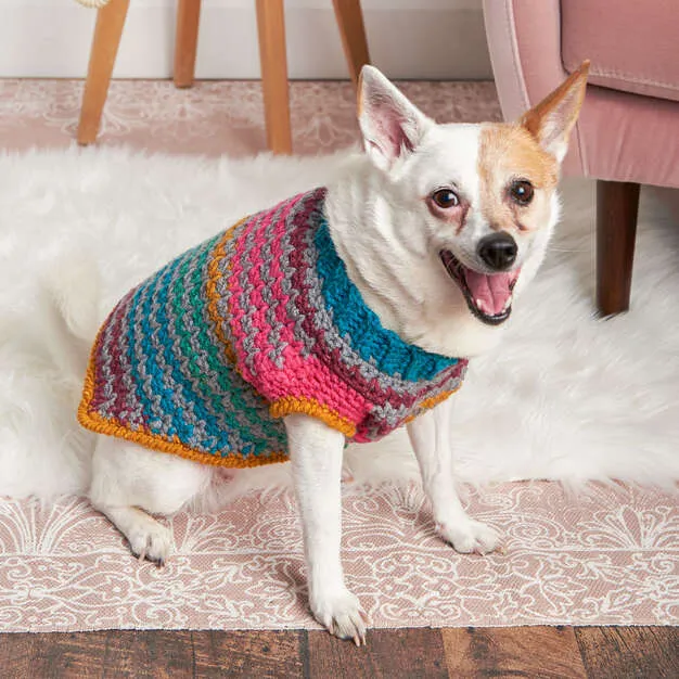 Red Heart Crochet Dog Sweater