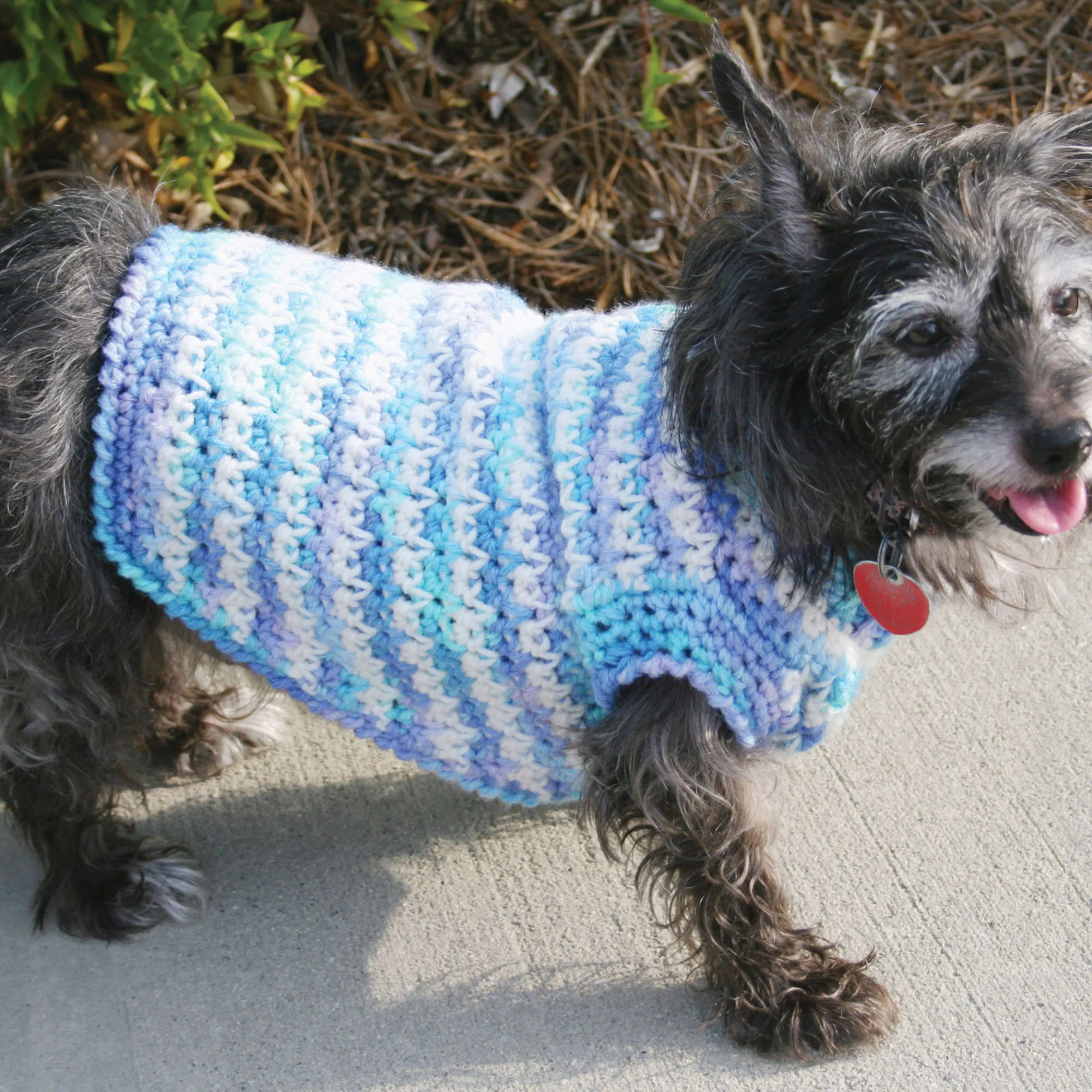 Red Heart Crochet Dog Sweater